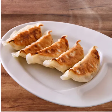 セノーテサークルの本気餃子