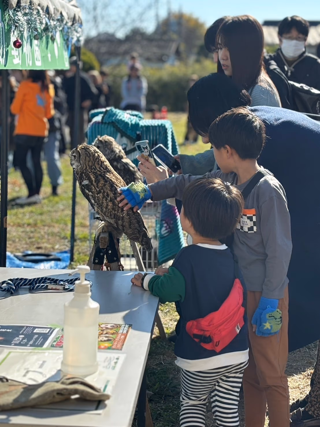 移動動物園の画像